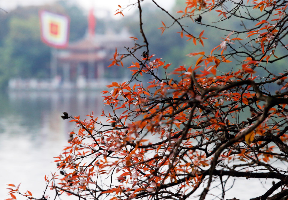  在绵绵细雨中，还剑湖似乎穿上一件如诗如画的美丽衣服。越通社记者 摄 