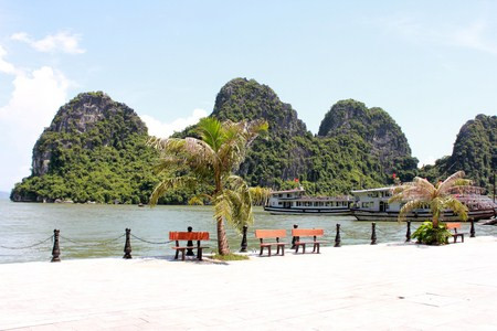 （图片来源：越南之声）