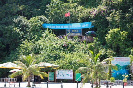 （图片来源：越南之声）