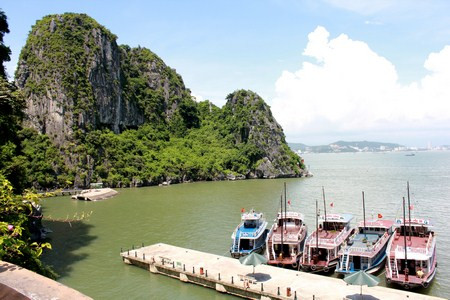 （图片来源：越南之声）