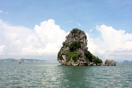 （图片来源：越南之声）