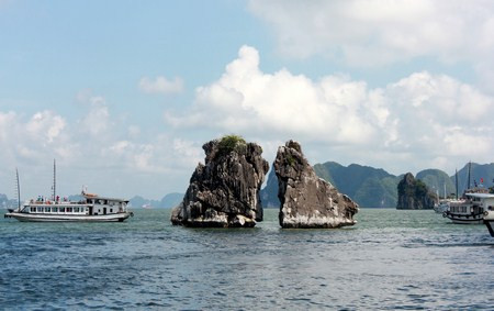 （图片来源：越南之声）