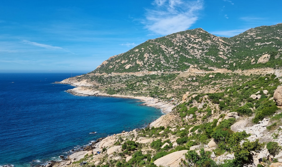 宁顺省顺南县沿海防护林为减轻自然灾害的影响和应对气候变化提供了屏障。图自 越通社