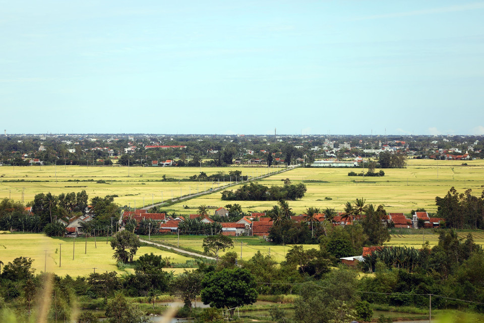 西和县的村庄在金灿灿的稻田之间若隐若现。图自 越通社