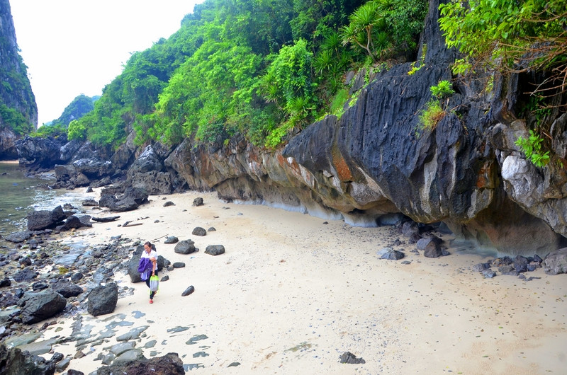 南菩昏岛景观（图片来源：广宁省报网）