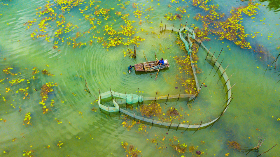 越南宁平省云龙湿地自然保护区​美景。越通社记者 明德 摄