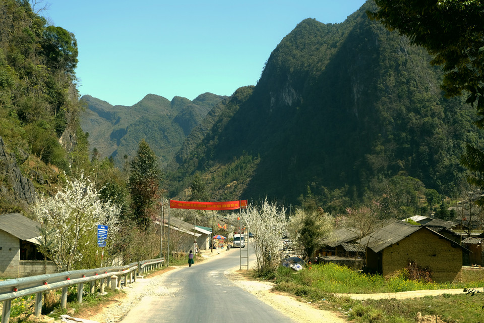 河江省同文县宠拉（Sủng Là）乡整个村庄都被美丽的花卉点缀着。越通社记者 祥安 摄。