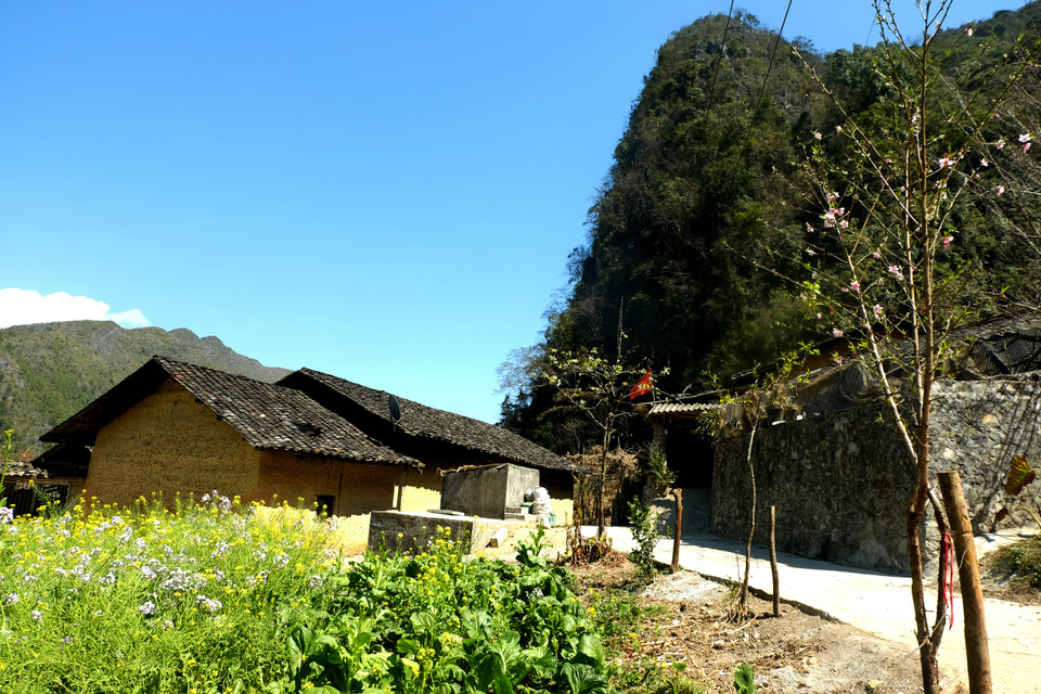 花卉的色彩使村庄的风景变得十分浪漫。越通社记者 祥安 摄。