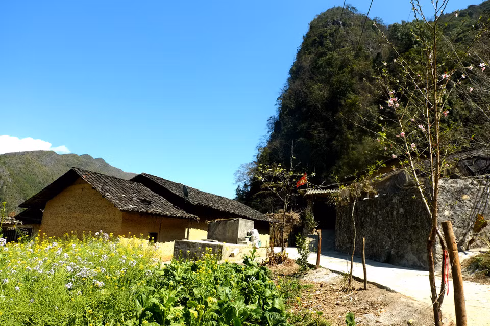 花卉的色彩使村庄的风景变得十分浪漫。越通社记者 祥安 摄。