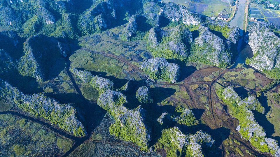 越南宁平省云龙湿地自然保护区占地面积3000公顷，横跨嘉远县的7个乡。越通社记者 明德 摄