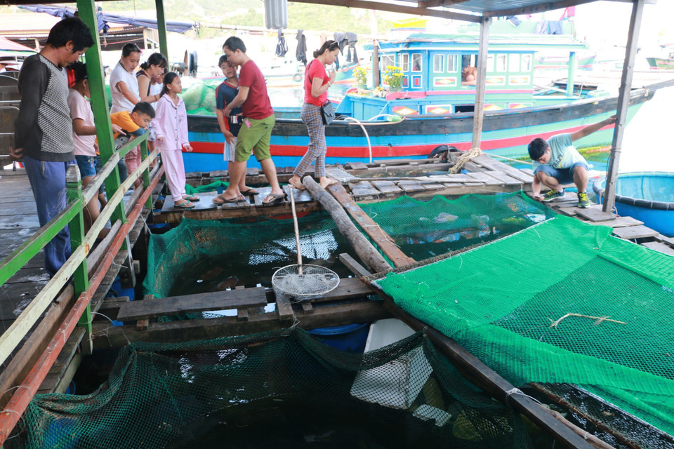 平巴岛龙虾养殖基地。越通社记者 杨志想 摄
