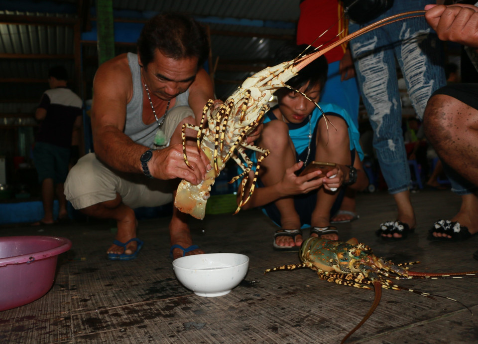 龙虾是平巴岛的特产。越通社记者 杨志想 摄