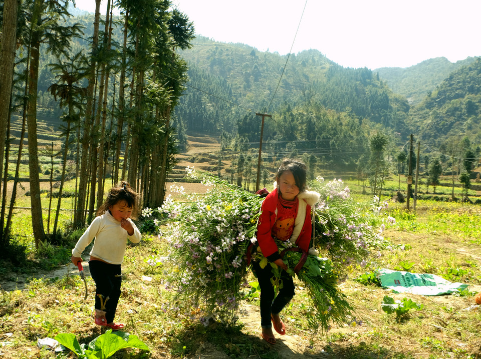 河江省同文县宠拉乡的孩子。越通社记者 祥安 摄。