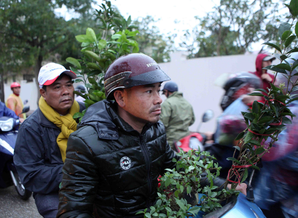 旺市主要出售各种树木、农具和古董。越通社记者 贵忠 摄