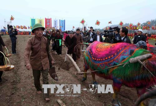 河南省碗山籍田节上农民落实耕田仪式。越通社记者 贵忠摄