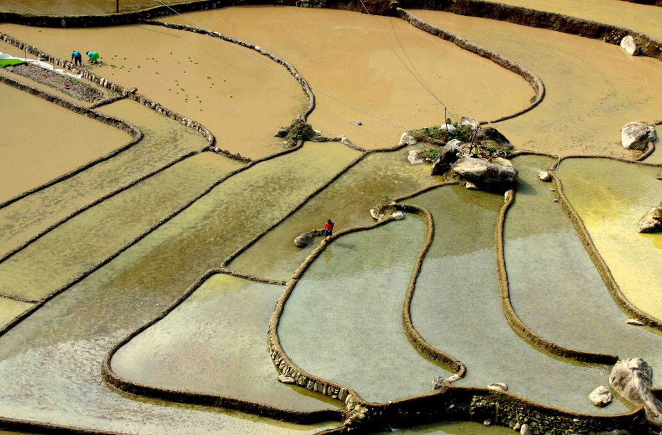 越南安沛省梯田美景尽收眼底。（图片来源：越通社）