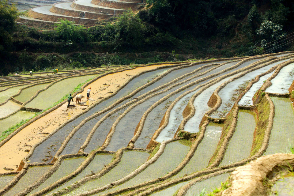 越南安沛省梯田美景尽收眼底。（图片来源：越通社）