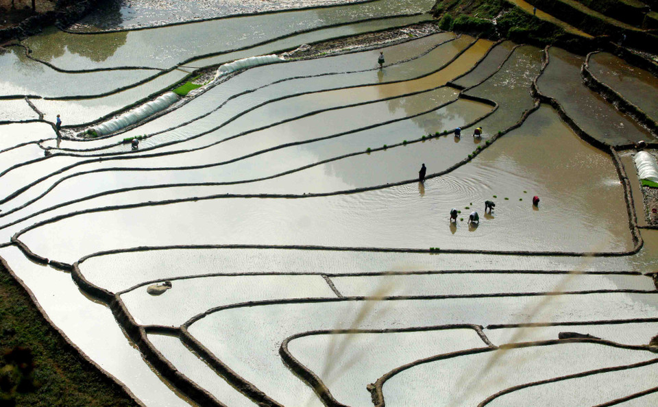 越南安沛省梯田美景尽收眼底。（图片来源：越通社）