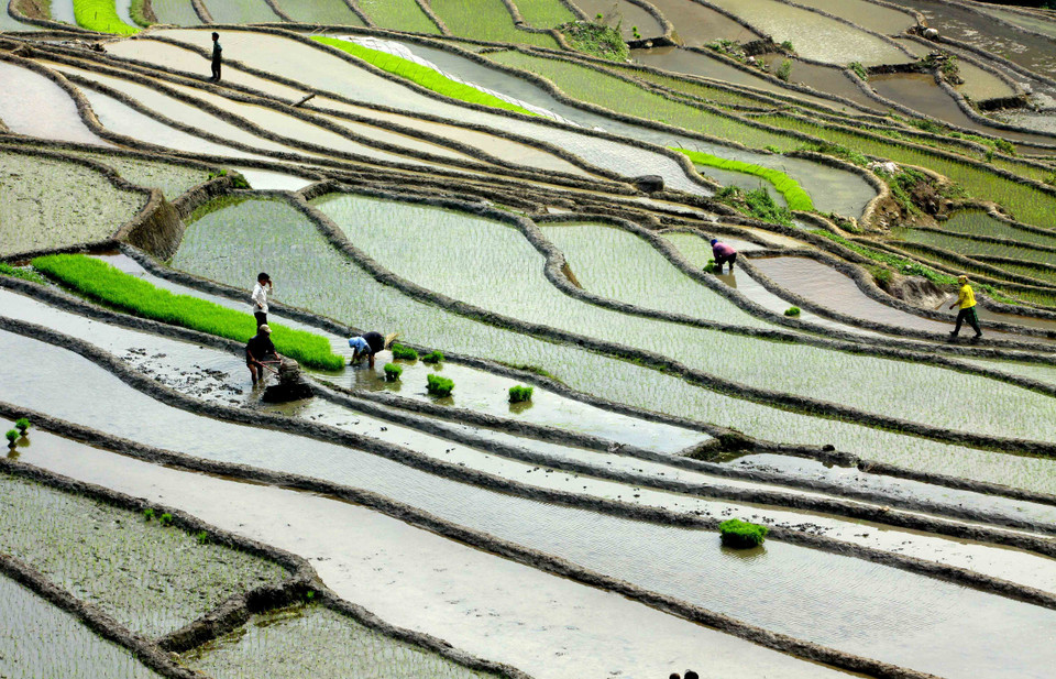越南安沛省梯田美景尽收眼底。（图片来源：越通社）