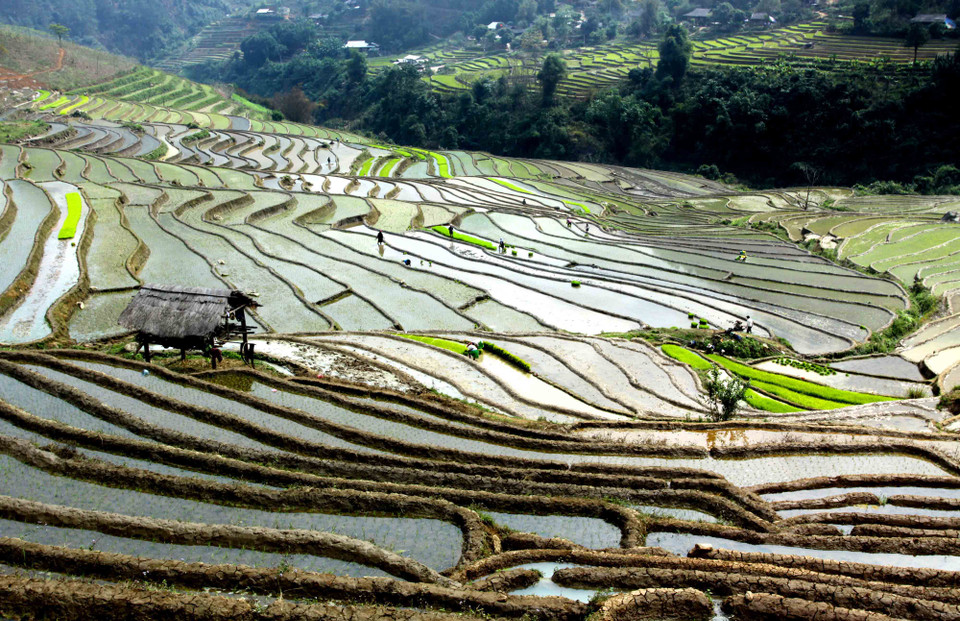 越南安沛省梯田美景尽收眼底。（图片来源：越通社）