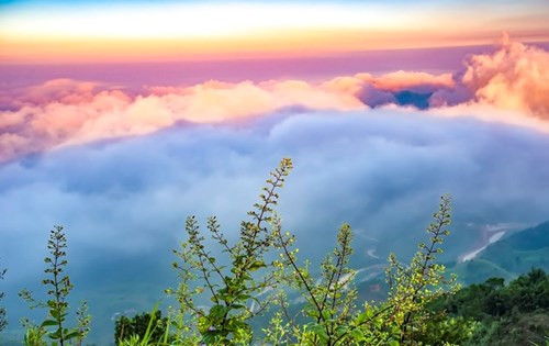 雨后或者晴天是游客欣赏母山“云海”美景的最佳时间（图片来源：vnexpress.net）