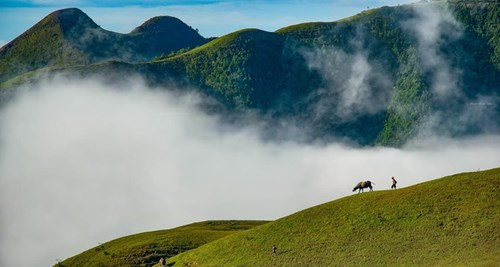 云雾缭绕、山峦林立让游客有一种如同进入仙境的感觉（图片来源：vnexpress.net）