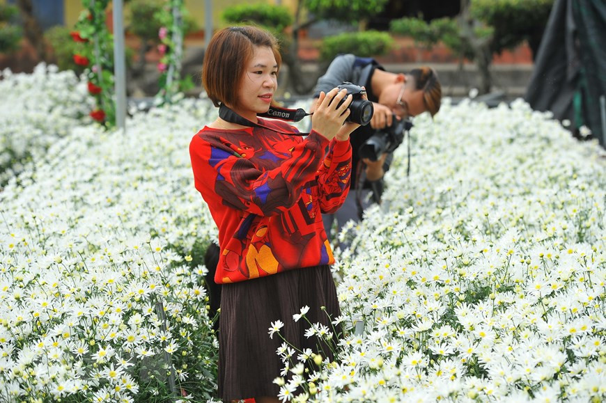 为了让花开得漂亮，花农必须按时播种并细心照顾。图自越通社