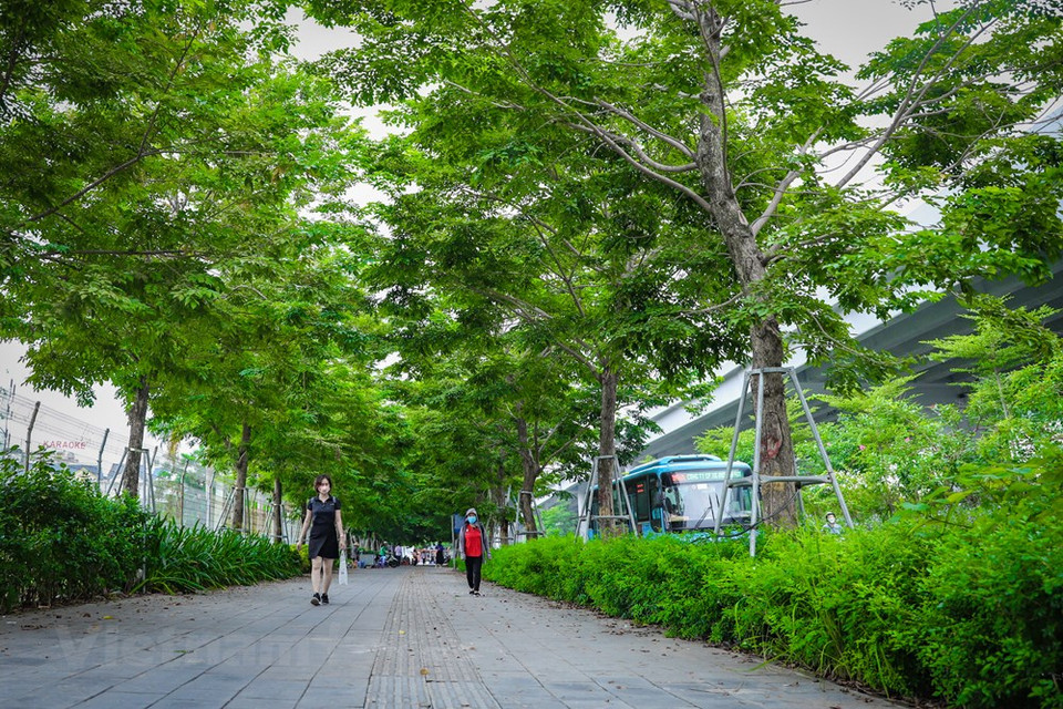 一片绿意盎然的人行道，两层树木，为行人创造了清新的空气，驱散了首都的尘埃和炎热。此前，6月份河内市人民委员会在还剑郡李太祖花园广场举行了环境行动月和6·5世界环境日响应启动活动，传达“为了绿色的河内，携手行动”的信息。6·5世界环境日响应活动包括很多有意义的切实活动。图自 Vietnam+