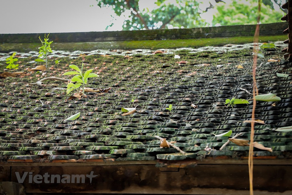 集市各房间的瓦顶有年代感，古色古香，怀旧之情，承载着过去历史时期的文化印记。越南乡村社区组织基本具有封闭性。越南乡村由多个村、屯、小巷等组成。乡村组织类型丰富，如基于家庭、家族血统关系，职业，手工业行会、作坊等构建而成。经历多个年代，生活、生产方式逐步形成了各个乡村社区组织意识。图自 Vietnam+