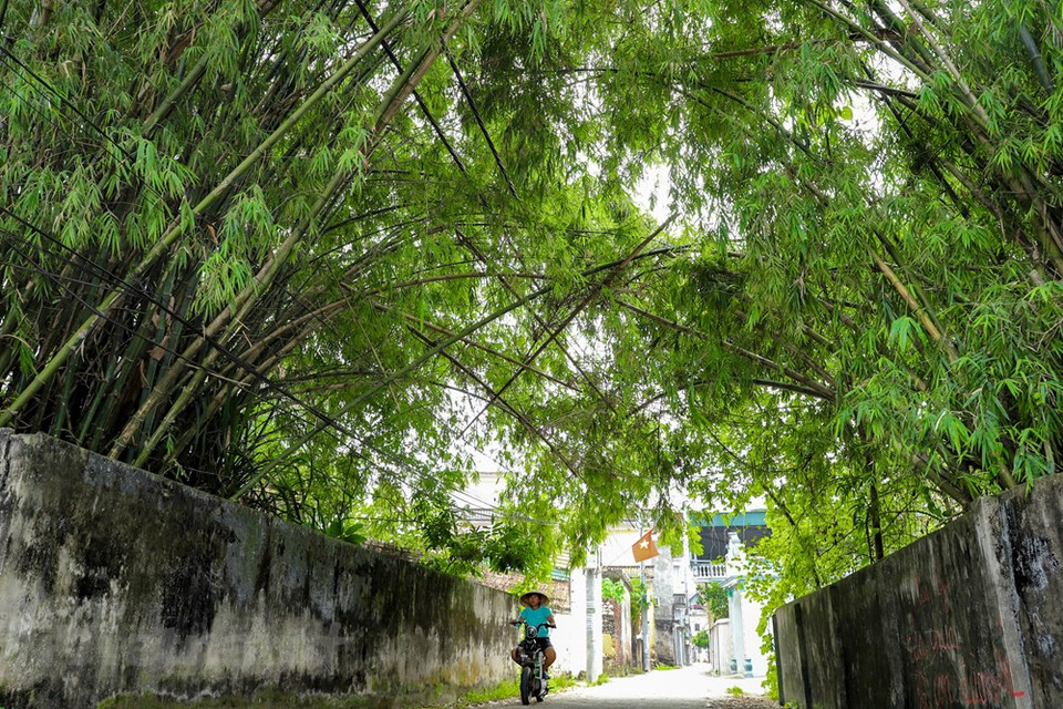 河内市清拐县新约乡约礼村离河内中心30公里，是一座古村。榕树、水井、公用庭院和随风飘扬的村寨竹城墙，是与北三角洲典型乡村文化相关的形象。在榕树、村口牌楼和水井旁常有一段河流。这是妇女姐妹们在给孩子洗澡、淘米、洗青菜时交流谈心的地方。图自 Vietnam+