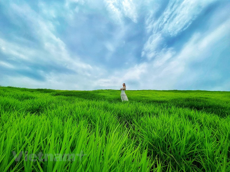 山萝省木州高原是知名旅游景点。这里空气清新、凉爽，自然景观原始、雄伟，当地居民友善、好客。除了自然美景外，游览草地、清新的绿色茶园、奶牛场或与当地居民一起生活等体验游形式也正吸引众多游客前来这片诗情画意的土地旅游。图为年轻人最喜欢去打卡的景点之一——69草田。图自Vietnam+