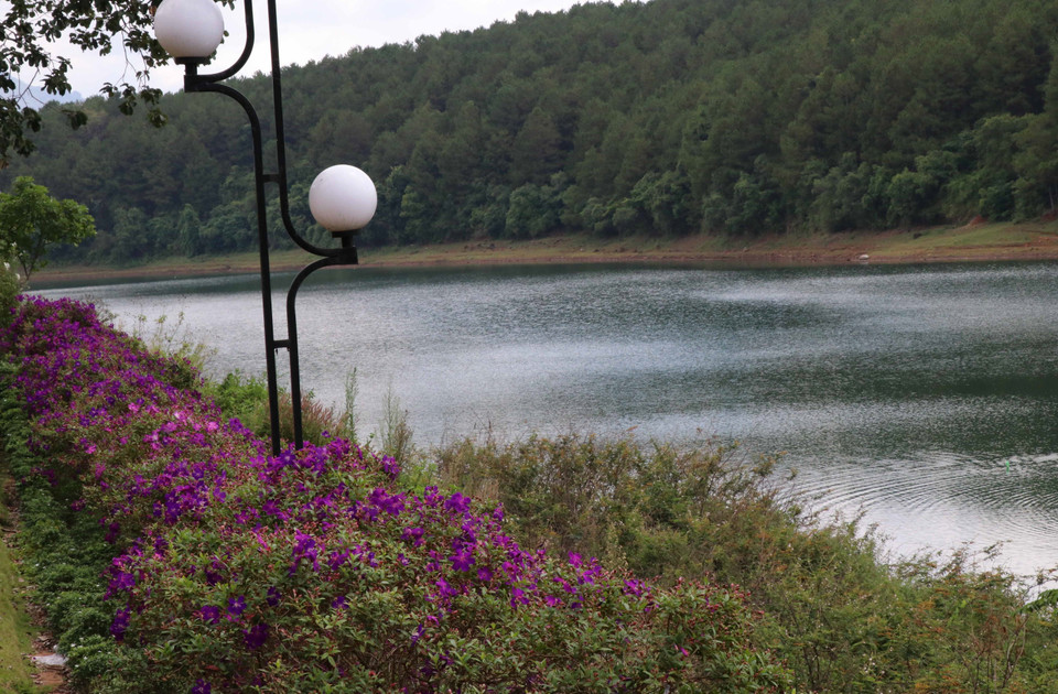 海湖由两个相连的湖泊组成，被松林和青山环绕，犹如一幅朦胧如仙境的水墨画。图自越通社