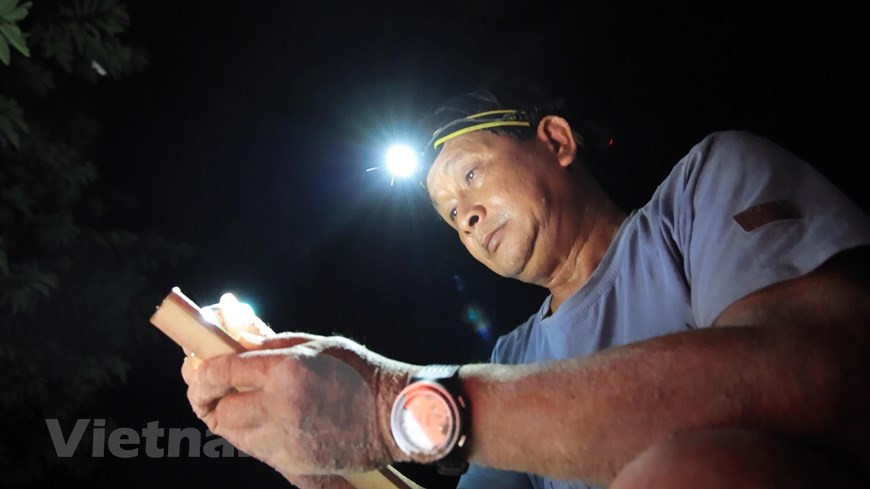 昆岛是东南亚最大海龟产卵地之一。每只海龟会生大约80至150枚卵。它们在日出前把巢穴盖上再返回大海，大概45到50天小海龟就会孵化出来。昆岛国家公园的林检力量和干部员工始终值守，保护海龟产卵地并将海龟卵转移到安全的孵化区。图自Vietnam+ 