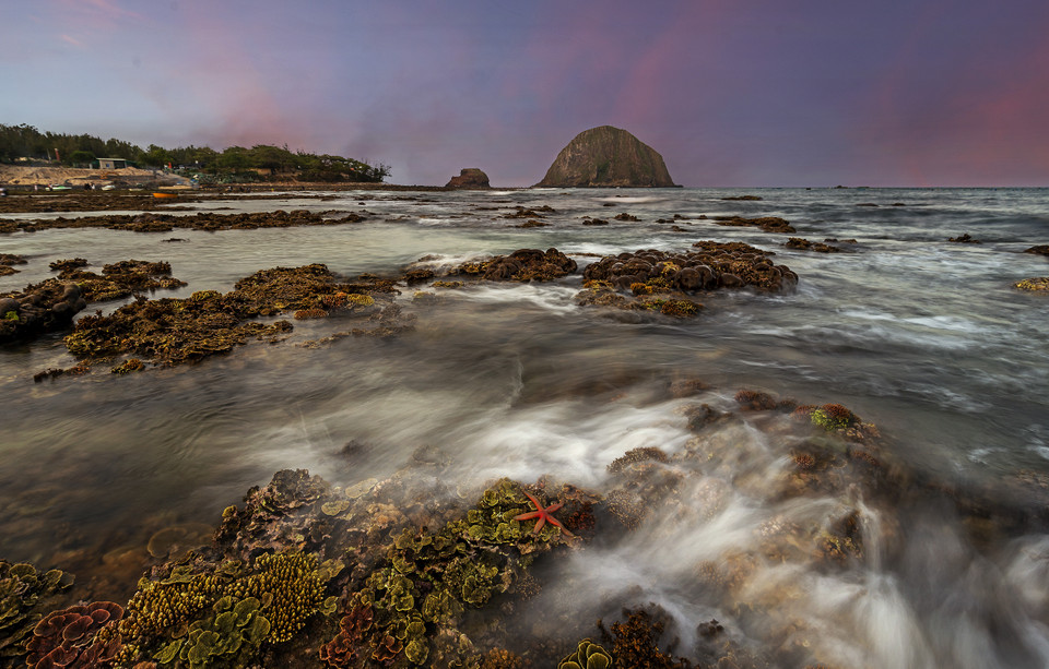 在富安省燕礁黄昏时欣赏超漂亮的珊瑚。图自 越通社