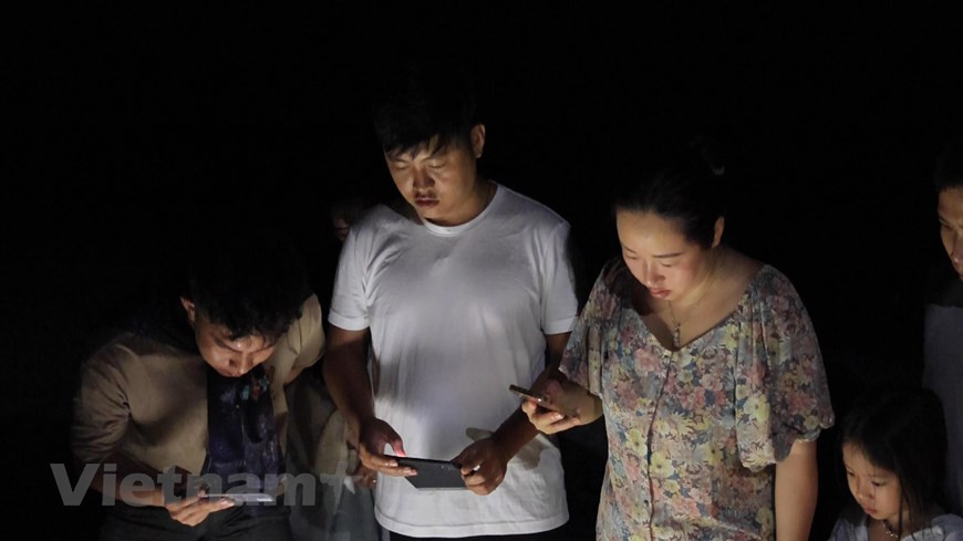 经过20年展开海龟管理、研究与保护等工作后，至今昆岛国家公园干部人员已做好绿海龟、玳瑁保护工作。昆岛国家公园近期组织活动，允许游客参观海龟产卵过程。所有参观活动都必须遵循林检人员的严格要求，以避免影响到海龟产卵环境。该活动有望成为保护海龟乃至海洋动物的有效宣传途径。图自Vietnam+