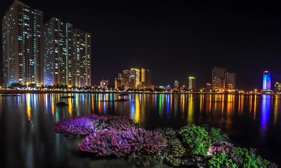 游客可以来到芽庄市钟屿石岬角欣赏种类丰富、十分美丽的生物——珊瑚。图自 越通社