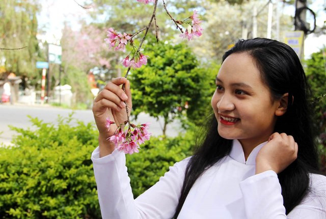 身穿奥戴的女生与樱花拍照（图片来源：人民报）