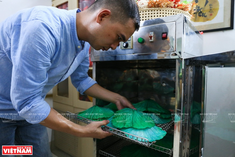 将叶子烘干。图自《越南画报》