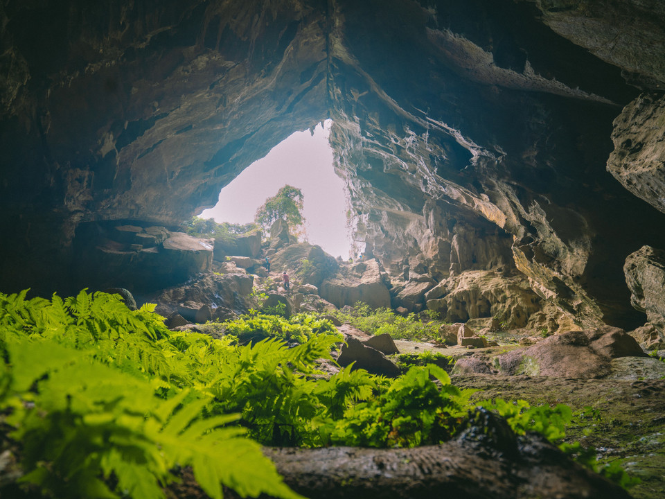 老鼠洞是好莱坞大片《金刚骷髅岛》的拍摄地。图自 越通社