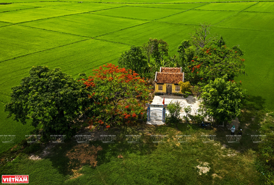 《2020年夏季老鼠庙》作品。图自越通社