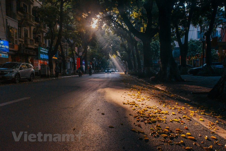 这里的氛围仿佛让路过人离开了匆匆忙忙的生活。图自越通社