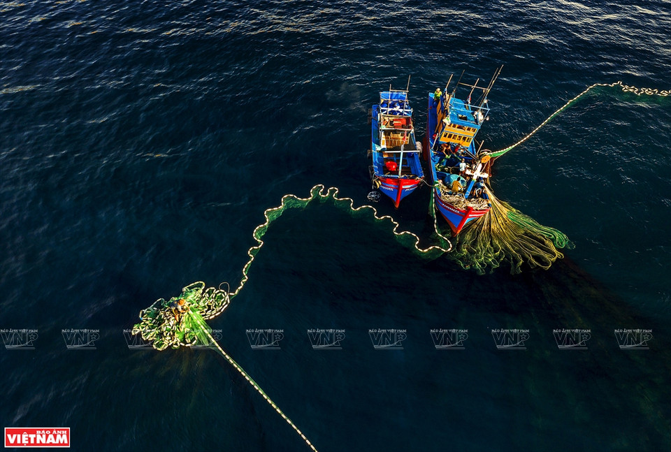 《圆舵鲣捕捞》作品。图自越通社