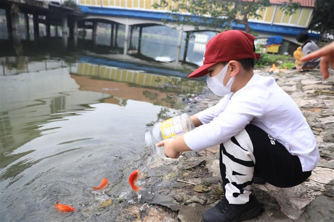 诸多人使用盒子将鲤鱼放进湖里，以减少塑料垃圾。图自越通社