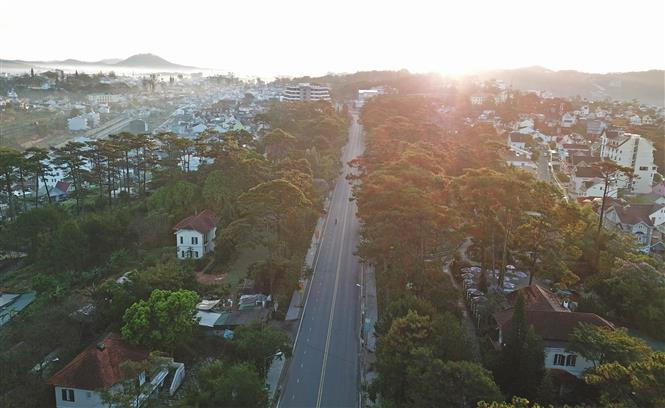 大叻还被誉为梦幻天堂、爱情天堂、节日天堂和花卉天堂。许多制片这已把大叻选为取景地。图自越通社