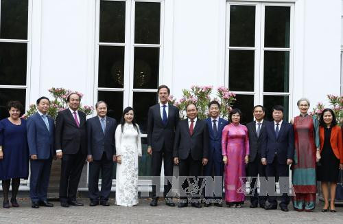 越南政府总理阮春福与荷兰首相马克•吕特同两国代表合影。（图片来源：越通社）