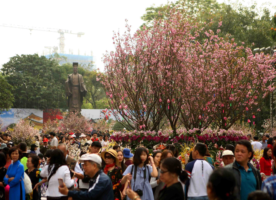 日本樱花在李太祖花园盛开。