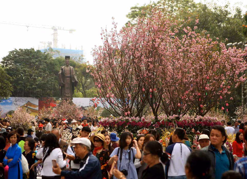 日本樱花在李太祖花园盛开。
