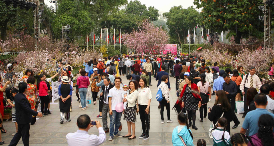 众多河内市居民和游客前来欣赏樱花之美。越通社记者 青松 摄 