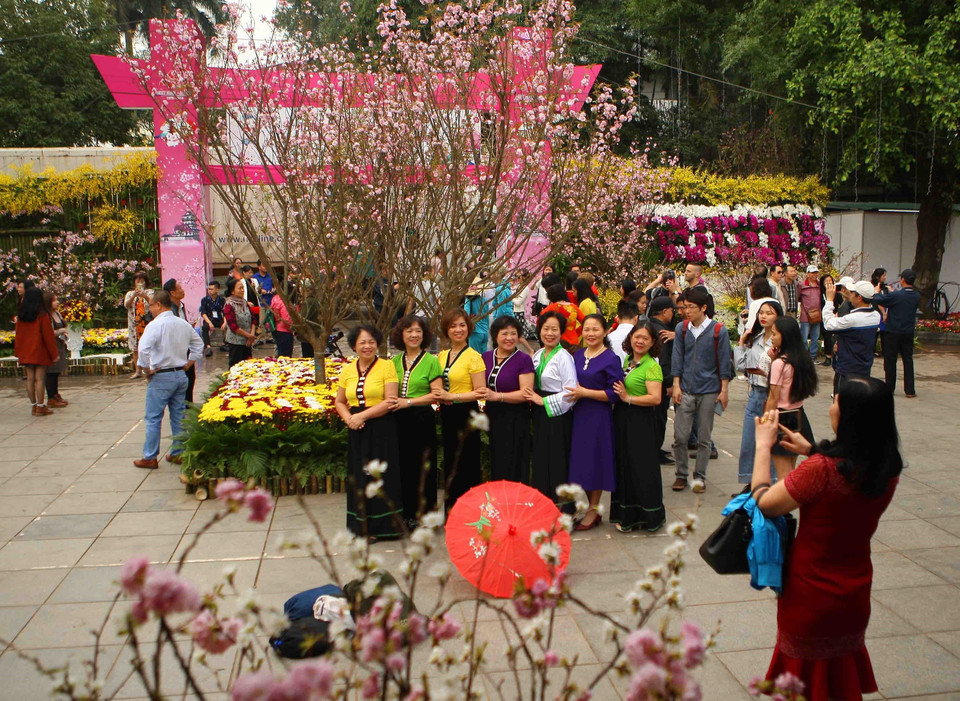 参观者在樱花树下拍照留念。越通社记者 青松 摄