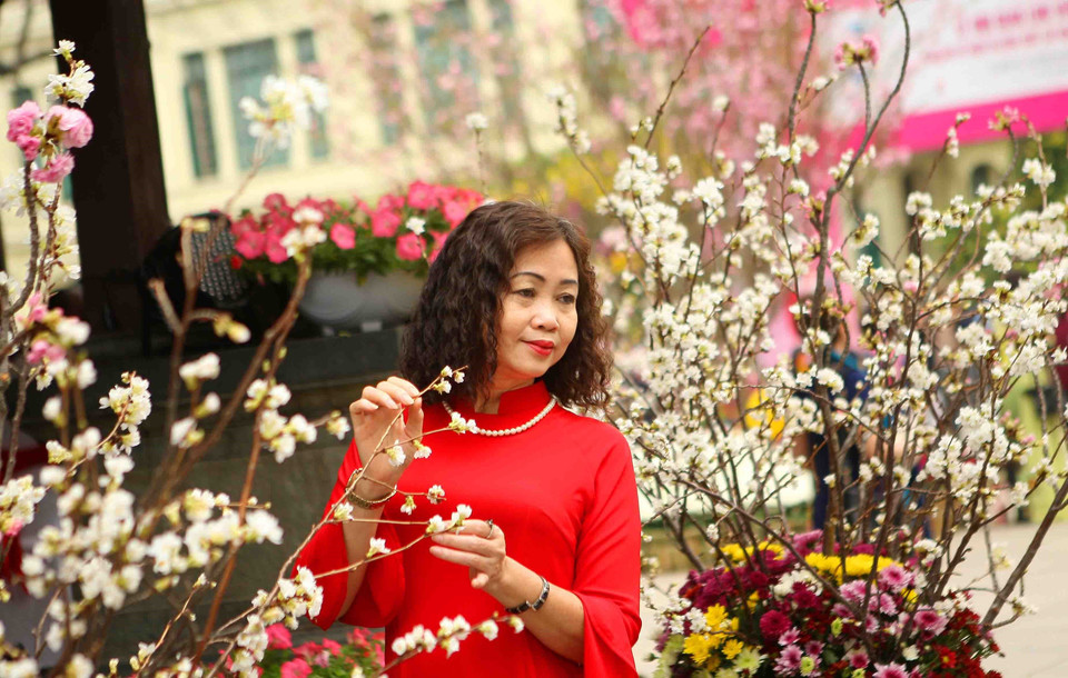 参观者在樱花树下拍照留念。越通社记者 青松 摄